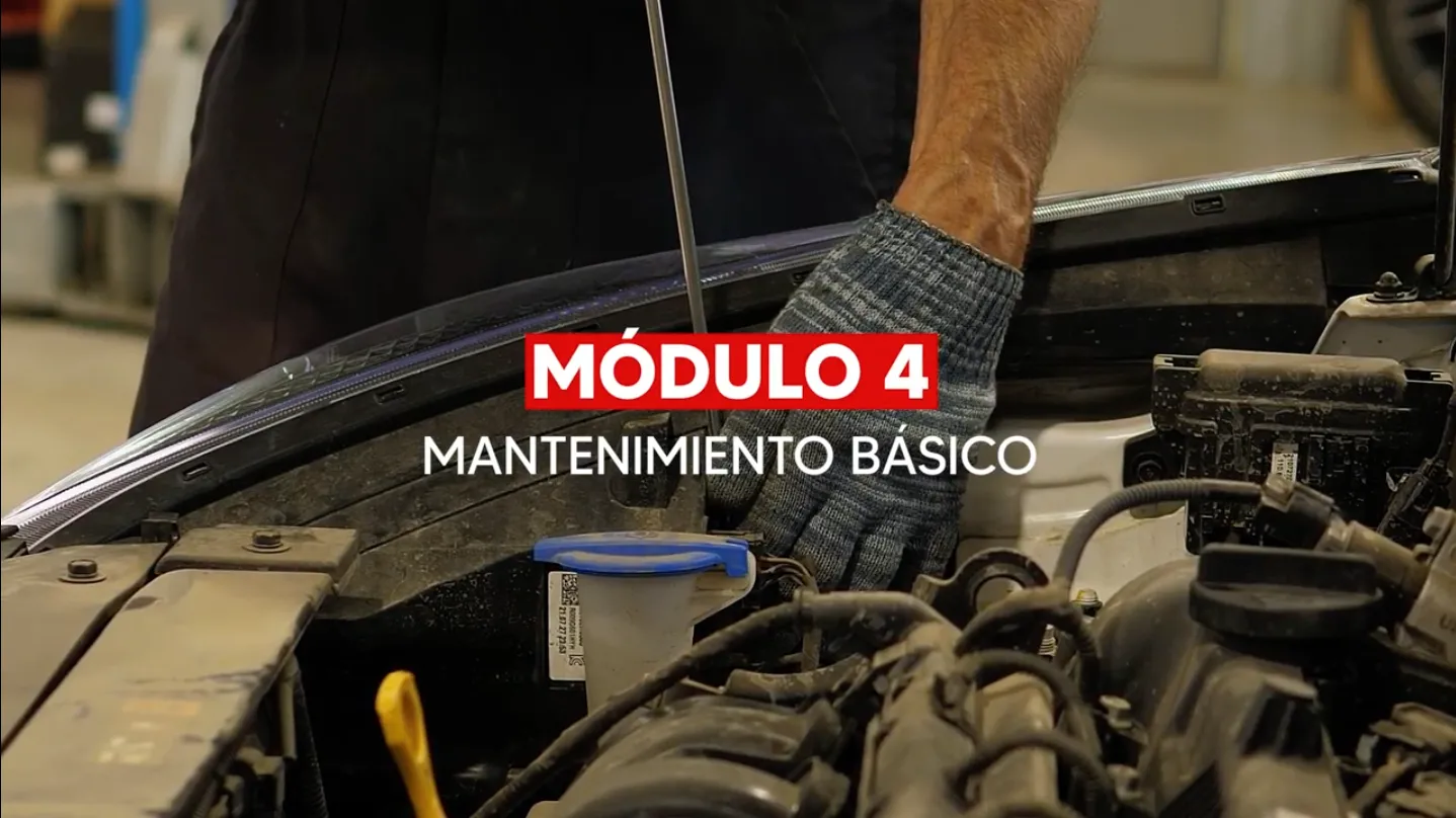 Mantenimiento básico