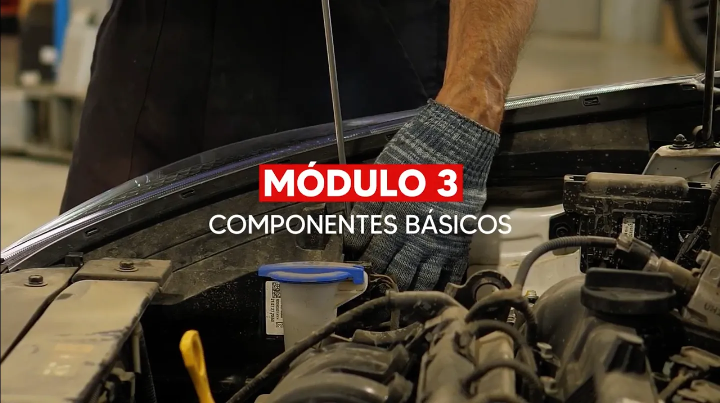 Componentes básicos