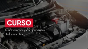 Fundamentos y componentes de la marcha